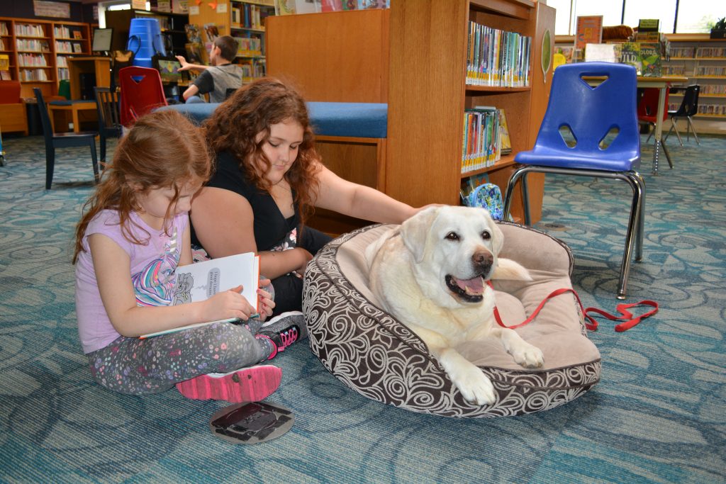 Time With Animals Can Spark an Interest in Reading